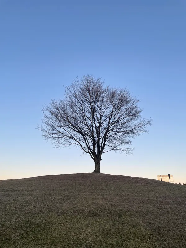 Alison, March 2023