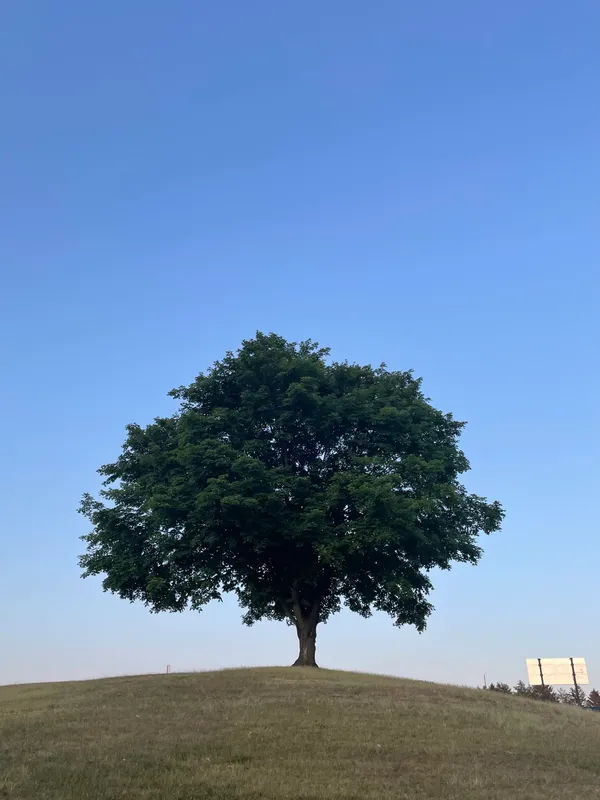 Alison, May 2023